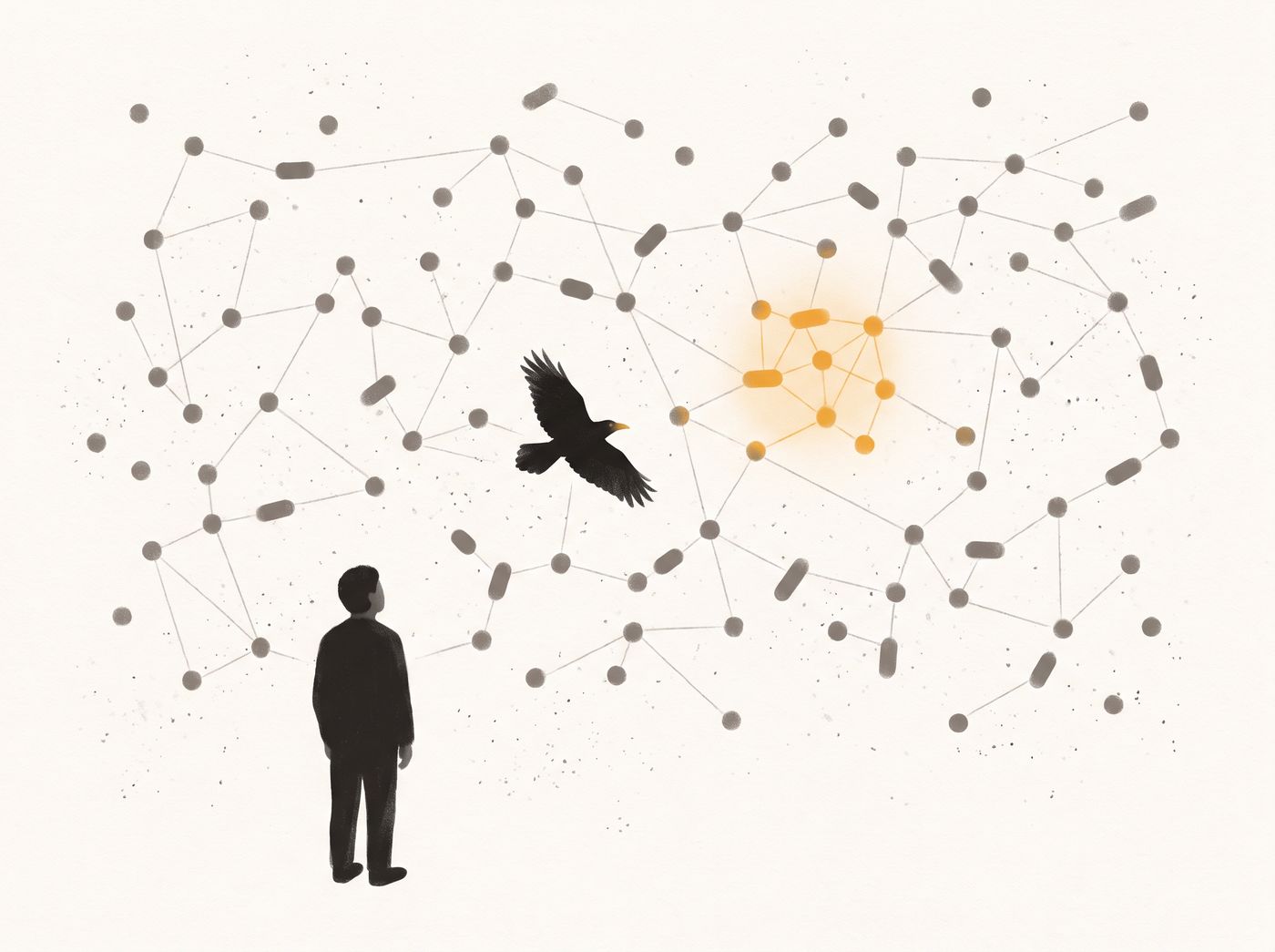 Everything remembered, drawn as one field of connected marks. Most sit faint; one neighbourhood is lit. A raven flies through it.